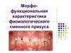 Морфо-функциональная характеристика физиологического сменного прикуса