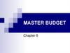 Master budget