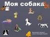 Моя собака