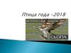 Скопа - птица 2018 года. Интересные факты