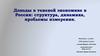 Доходы в теневой экономике в России: структура, динамика, проблемы измерения