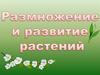 Размножение и развитие растений