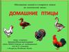 Обогащение знаний и словарного запаса по лексической теме «Домашние птицы»