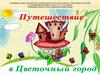 Путешествие в Цветочный город