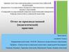 Отчет по производственной (педагогической) практике