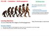 Evolution – Anthropogensis