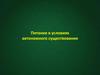 Питание в условиях автономного существования