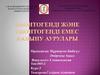 Одонтогенді және одонтогенді емес қабыну аурулары