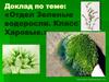Отдел зеленые водоросли. Класс харовые