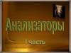 Анализаторы - 1часть