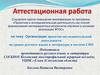 Аттестационная работа: Организация проектно-исследовательской деятельности на уроках русского языка и литературы в системе СПО