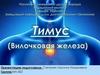 Вилочковая железа