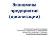 Организация (предприятие) – основное звено экономики