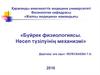 Бүйрек физиологиясы. Несеп түзілуінің механизмі