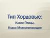 Тип Хордовые: класс Птицы, класс Млекопитающие