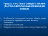 Система общего права (англо-саксонская правовая семья)