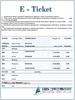 Электронный билет