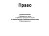 Право. Правоотношения. Гражданское право. Субъекты гражданского права. Имущественные и неимущественные права. Правонарушение