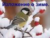 Изложение о зиме
