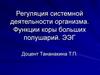 Регуляция системной деятельности организма. Функции коры больших полушарий. Фазы сна