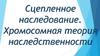 Сцепленное наследование. Хромосомная теория наследственности