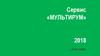 Сервис «Мультирум». Описание предложения