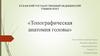 Топографическая анатомия головы