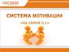 Система мотивации в компании "На связи"