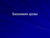 Биохимия крови
