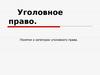 Уголовное право. Понятия и категории уголовного права