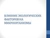 Влияние экологических факторов на микроорганизмы