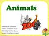 Animals. Zoo