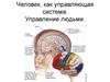 Человек как управляющая система. Управление людьми