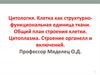 Цитология. Клетка как структурно-функциональная единица ткани. Общий план строения клетки. Строение органелл и включений