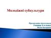 Молодіжні субкультури