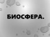 Биосфера. Актуальность исследования