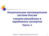 Национальная инновационная система России глазами российских и зарубежных экспертов. Часть 1
