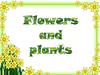 Flowers and plants