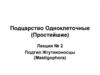 Подцарство Одноклеточные (Простейшие)