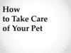 How to Take Care of Your Pet