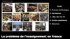 Le probleme de l’enseignement en France