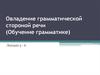 Овладение грамматической стороной речи (Обучение грамматике)