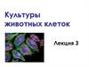 Культуры животных клеток