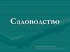 Cадоводство. Растения, распространённые в Крыму