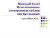 Использование электронных таблиц Microsoft Excel, как баз данных