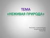 Неживая природа