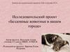 Исследовательский проект «Бездомные животные в нашем городе»