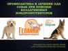 Профилактика и лечение Ода собак при помощи коллагеновых хондропротекторов