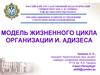 Модель жизненного цикла организации И. Адизеса