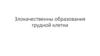 Злокачественные образования грудной клетки